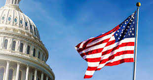 Definition of Government Contractor 11 What is government Contracting